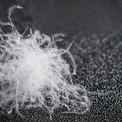 Oreiller  | Duvet d'Oie Hôtel 5 étoiles