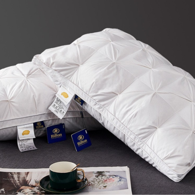 Oreiller  | Duvet d'Oie Hôtel 5 étoiles