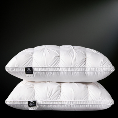 Oreiller  | Duvet d'Oie Hôtel 5 étoiles