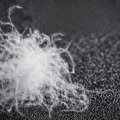 Oreiller | Duvet d'Oie Hôtel 5 étoiles - Havre de Nuit